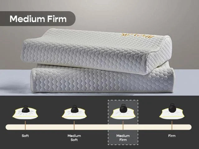 Contour SoftTouch Memory Foam Pillow