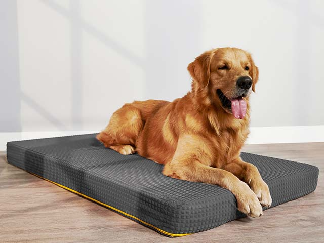 Dog Bed Orthopedic - Main Image