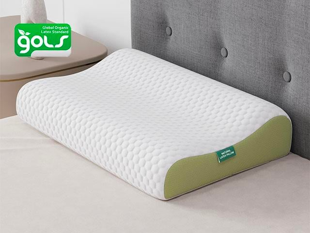 Top Ergonomic Pillows for Neck Pain Comfort