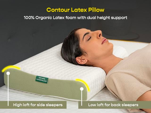 Contour Natural Latex Pillow