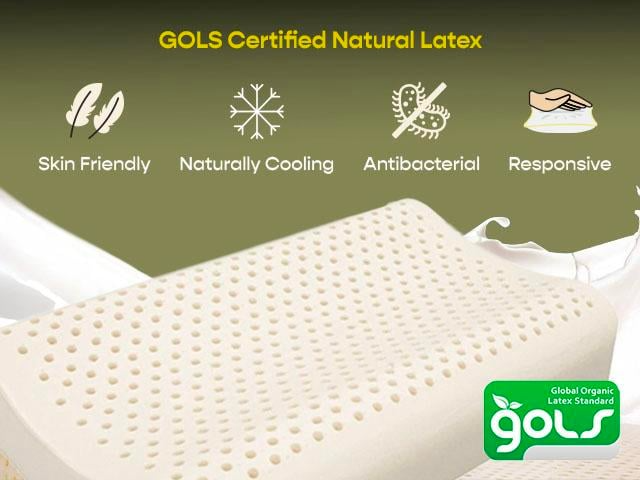 Contour Natural Latex Pillow