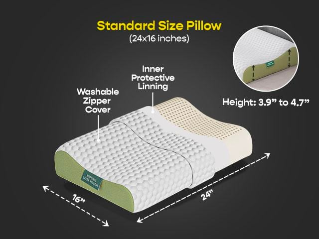 Contour Natural Latex Pillow