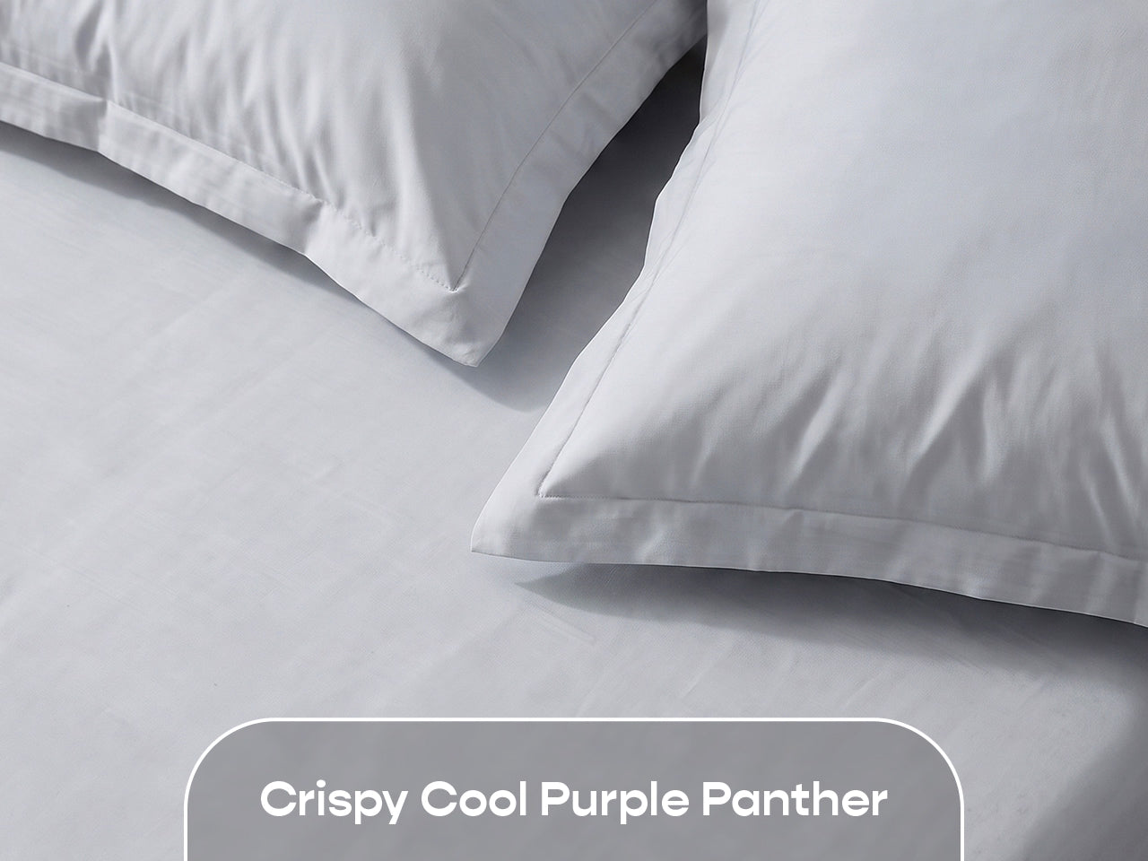 Dolphin Grey