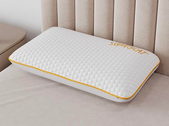 SoftTouch Memory Foam Pillow