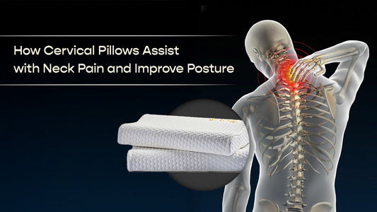 How Cervical Pillows Assist with Neck Pain and Improve Posture