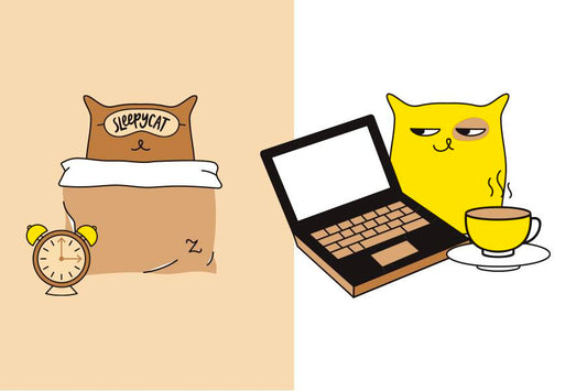 How Deep Sleep Boosts Happiness & Productivity