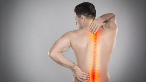Let’s Get to the Bottom of Your Back Ache
