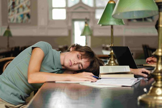 Inemuri: A Peek Into The Fascinating Japanese Work Nap Ritual