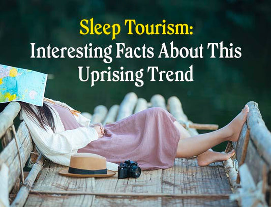 Sleep Tourism: Interesting Facts About This Rising Trend