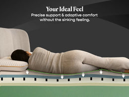 The Founder's Mattress