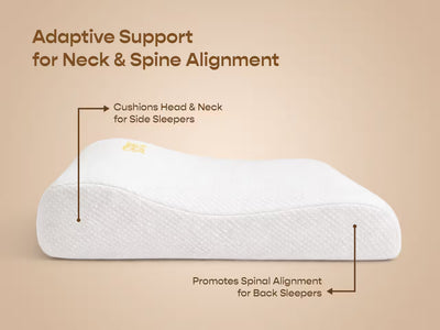 Contour CoolTEC Memory Foam Pillow