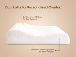 Contour SoftTouch Memory Foam Pillow
