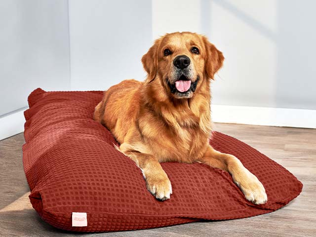 Dog Bed Cover