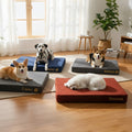 Dog Bed 3