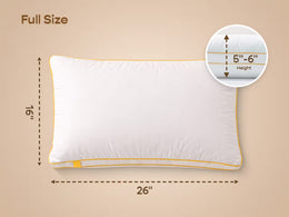 Hybrid Pillow