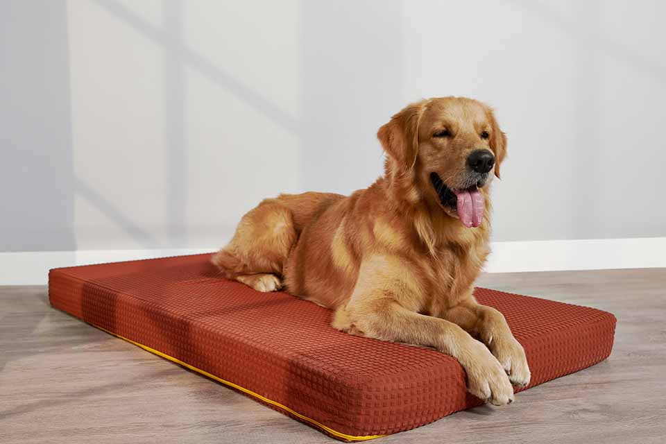 Dog Bed Cover Orthopedic