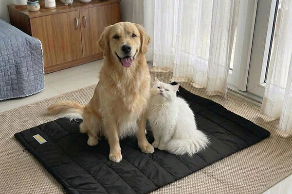 Soft. Stylish & Portable