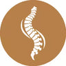 Contoured Shape for Lumbar Alignment