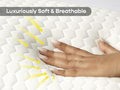 Mattress Cover