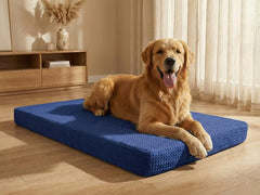 Dog Bed - Orthopedic