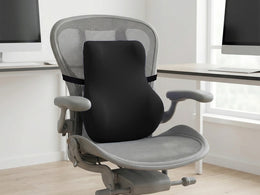 Pro Back Cushion