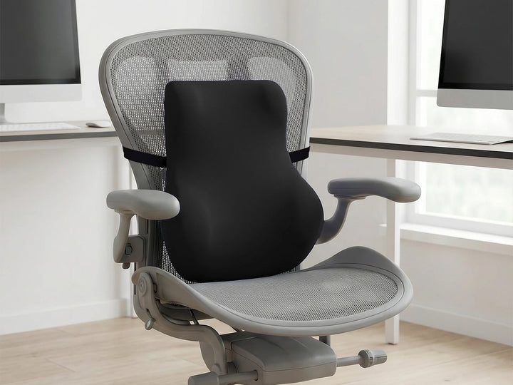 Pro Back Cushion