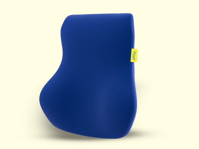 Pro Back Cushion
