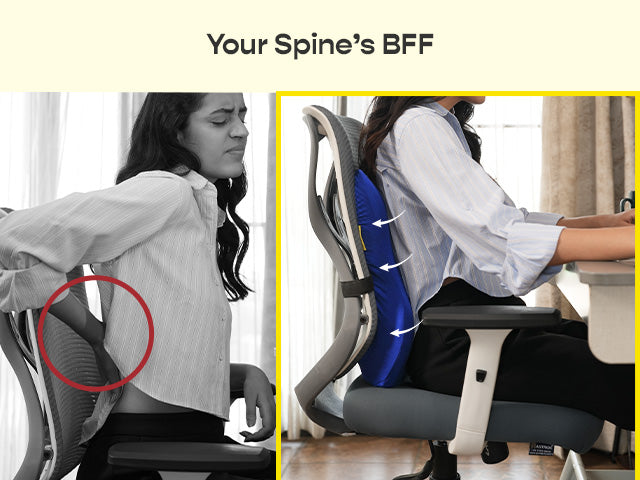 Pro Back Cushion