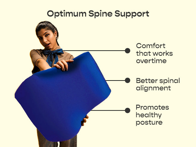 Pro Back Cushion