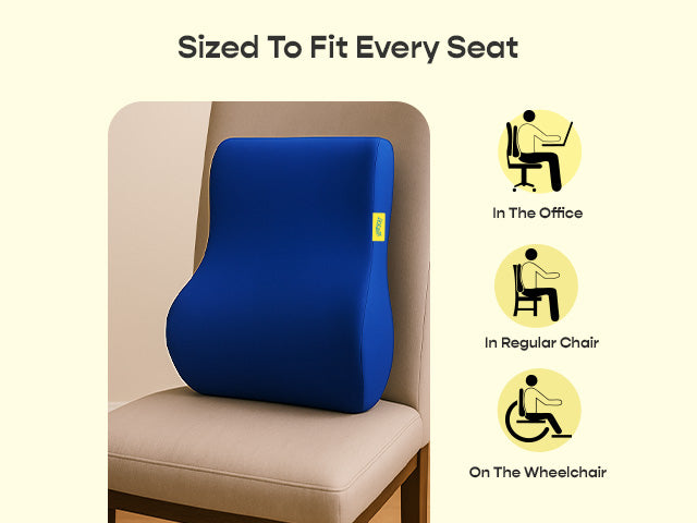 Pro Back Cushion