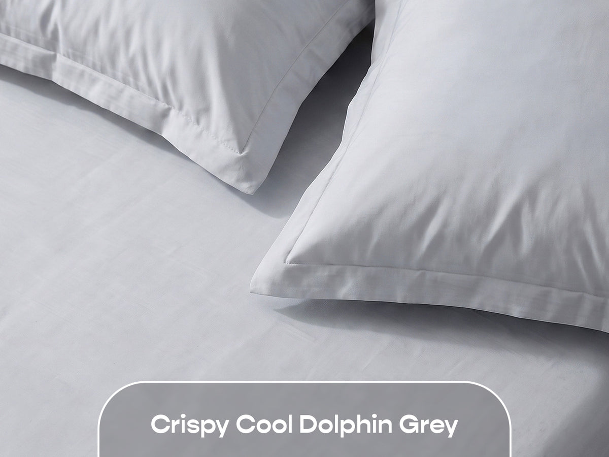 Dolphin Grey