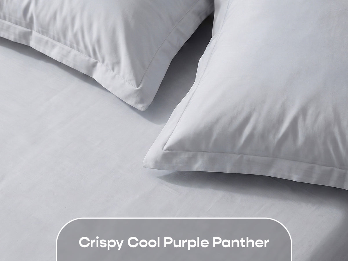 Dolphin Grey