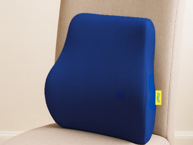 Pro Back Cushion