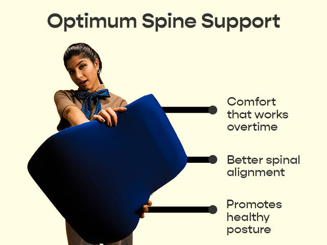 Pro Back Cushion