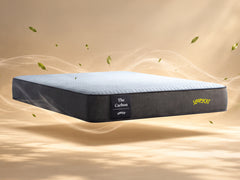 Carbon Mattress