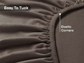 Single,Walnut Brown
 Double,Walnut Brown
 Queen,Walnut Brown
 King,Walnut Brown