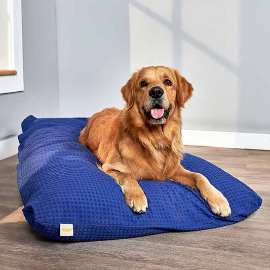 dog bed cover