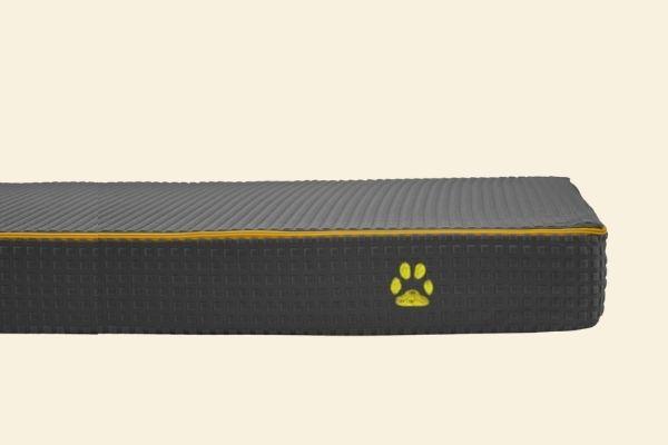 Dog Bed Orthopedic