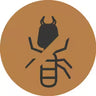 Termite-Resistant Mango Wood