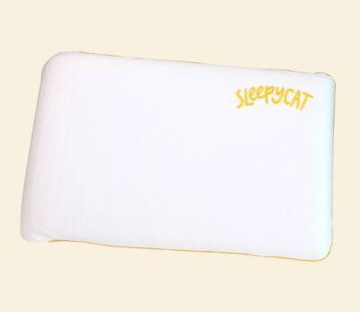 SoftTouch Memory Foam Pillow