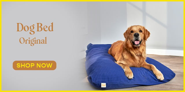 Dog bed Original