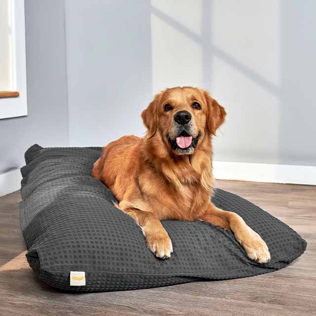 Pillow talk shop dog beds