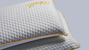 SoftTouch Memory Foam Pillow